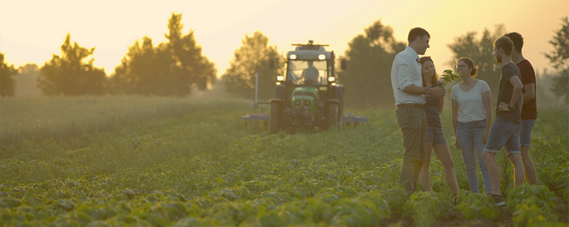 Headerbild der Anzeige