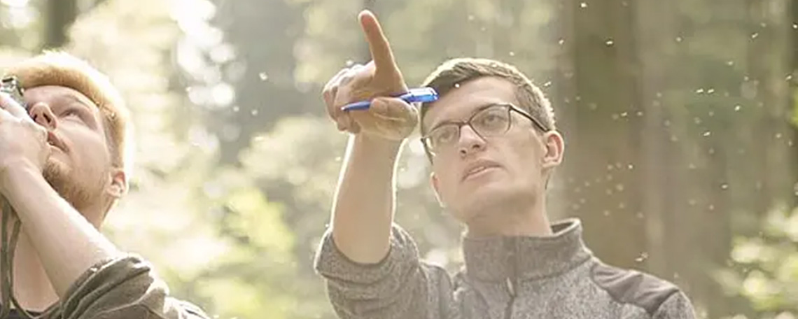 Headerbild der Anzeige