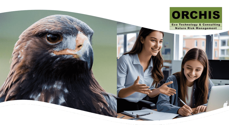 Headerbild greifvogel_office-azubi
