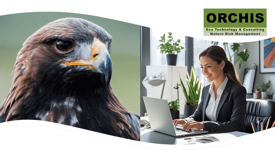Headerbild greifvogel_office