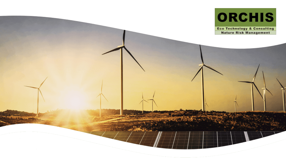 Headerbild windraeder