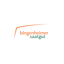 künstliche bambusstäbe Künstlicher Bambus Kunstpflanze 180cm Deko pflegeleicht kaufen