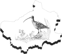 Biologische Station Kreis Steinfurt e.V.-Logo