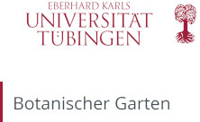 Universität Tübingen-Logo