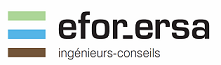 EFOR-ERSA ing&eacute;nieurs-conseils-Logo