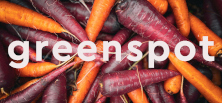 greenspot GmbH-Logo