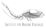 Institut f&uuml;r Marine Biologie-Logo