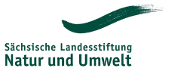 Sächsische Landesstiftung Natur und Umwelt-Logo