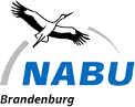 NABU Brandenburg e. V.-Logo