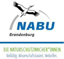 NABU Brandenburg-Logo