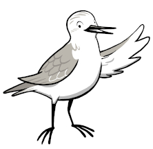 Nationalpark-Haus Juist-Logo