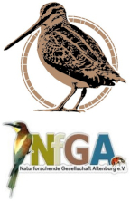 Naturforschende Gesellschaft Altenburg e.V.-Logo