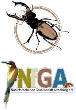 Naturforschende Gesellschaft Altenburg e.V.-Logo