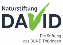 Naturstiftung David-Logo