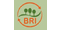BRI Bodenrecycling Insingen GmbH & Co. KG-Logo