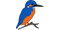 Büro Sinning - Ökologie, Naturschutz & räumliche Planung-Logo