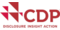 CDP Worldwide (Europe) gemeinnützige GmbH-Logo