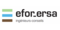 EFOR-ERSA ingénieurs-conseils-Logo