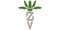 Verband der Hessisch-Pfälzischen Zuckerrübenanbauer e.V.-Logo