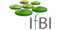 Institut für Biodiversitätsinformation e.V. (IfBI)-Logo