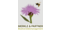 Merkle & Partner - Biodiversitätsmanagement-Logo