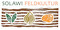 Solawi Feldkultur Schwabsburg-Logo