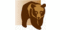STIFTUNG für BÄREN-Logo