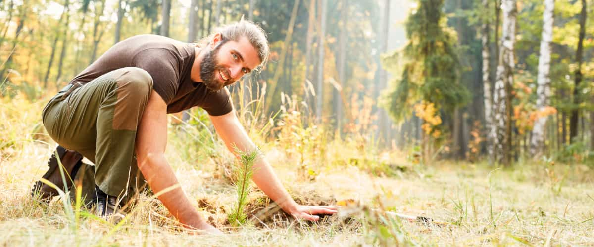 Mann kniet auf Waldboden und pflanzt Setzling ein.