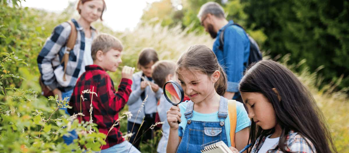 5 Kinder an einem Hang untersuchen Gräser und Büsche mit einer Lupe. Zwei Erwachsene im Hintergrund.